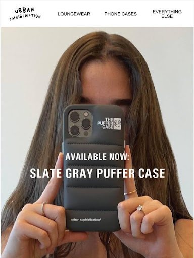 the puffer case