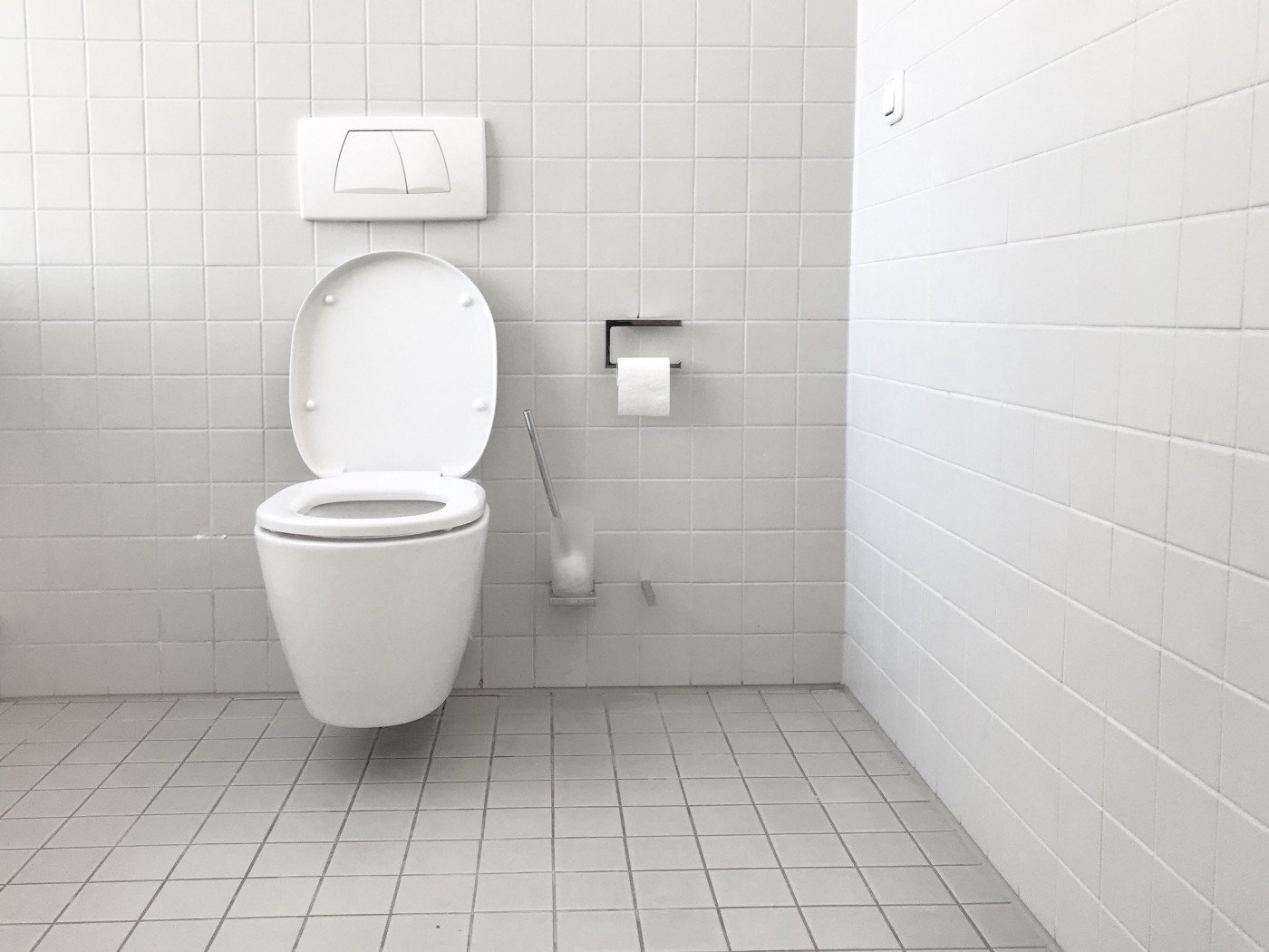 What You Need to Know Before Replacing Your Toilet