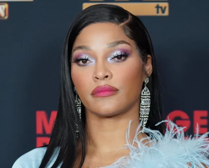 Joseline Hernandez Net Worth